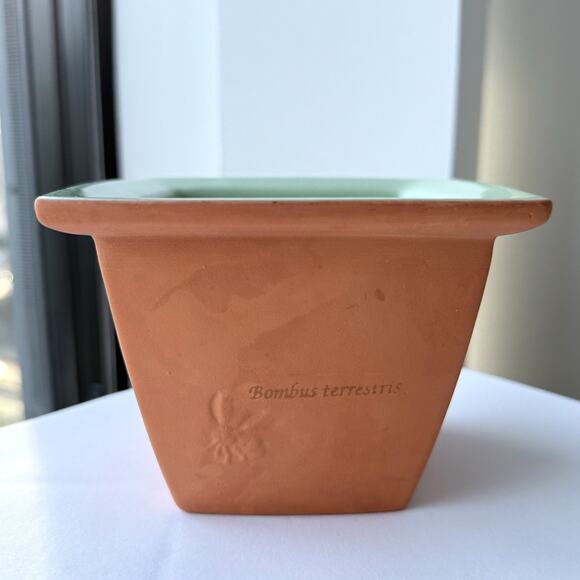 Wedgwood 'Sarah's Garden' Pot Terracotta & Green Small Plant Pot Planter Garden - Picture 5 of 8